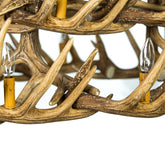 Whitetail Deer 24 Antler Chandelier closeup